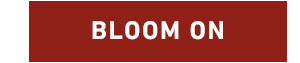 BLOOM ON